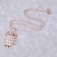 Load image into Gallery viewer, LNRRABC Women Sweater Chain Necklace Owl Design Rhinestones Crystal Pendant Necklaces Jewelry Clothing Accessories Drop Shipping